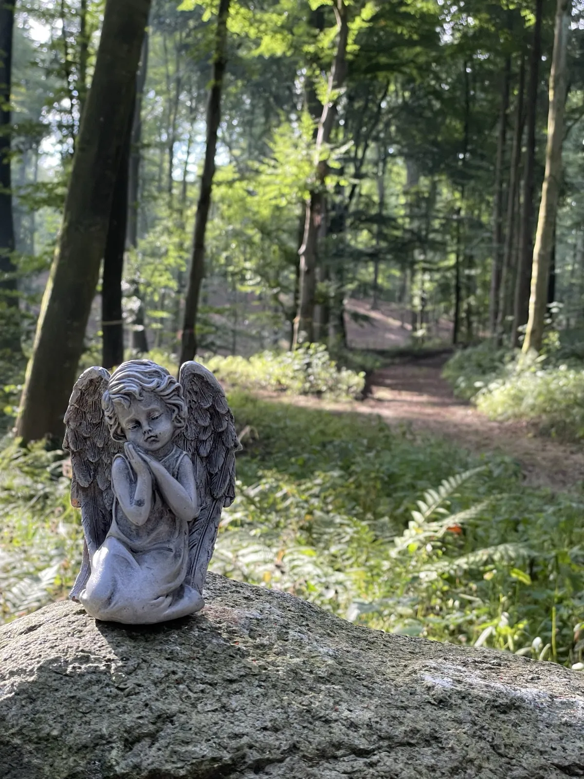 Eindruck aus dem Waldfrieden 2