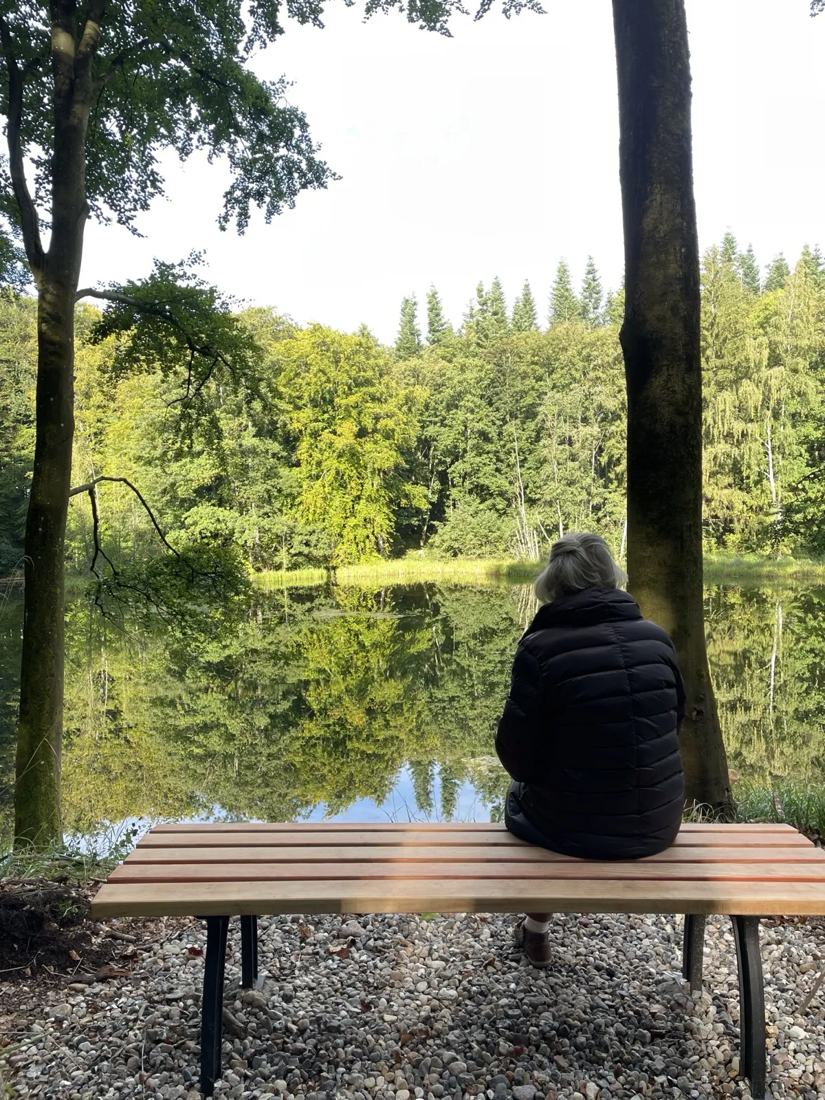 Eindruck aus dem Waldfrieden 4