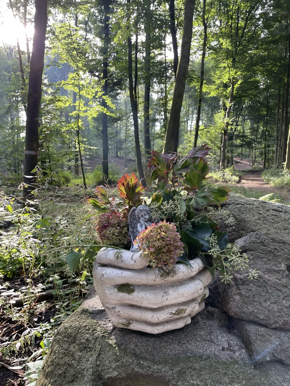 Eindruck aus dem Waldfrieden 5