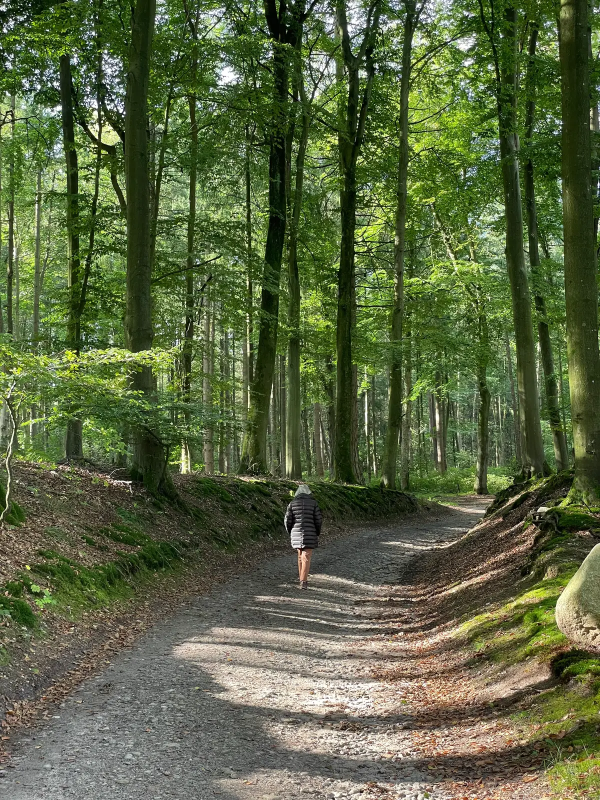 Eindruck aus dem Waldfrieden 6